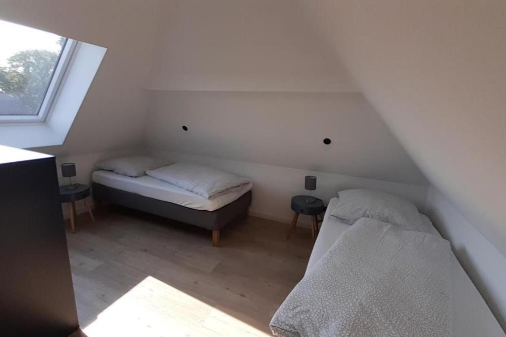 Villa Fh Magnolia Fuer 12 Pers. Mit Terrasse + Dachterasse à Born Extérieur photo