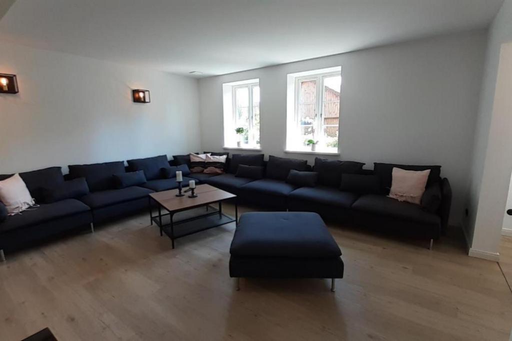 Villa Fh Magnolia Fuer 12 Pers. Mit Terrasse + Dachterasse à Born Extérieur photo