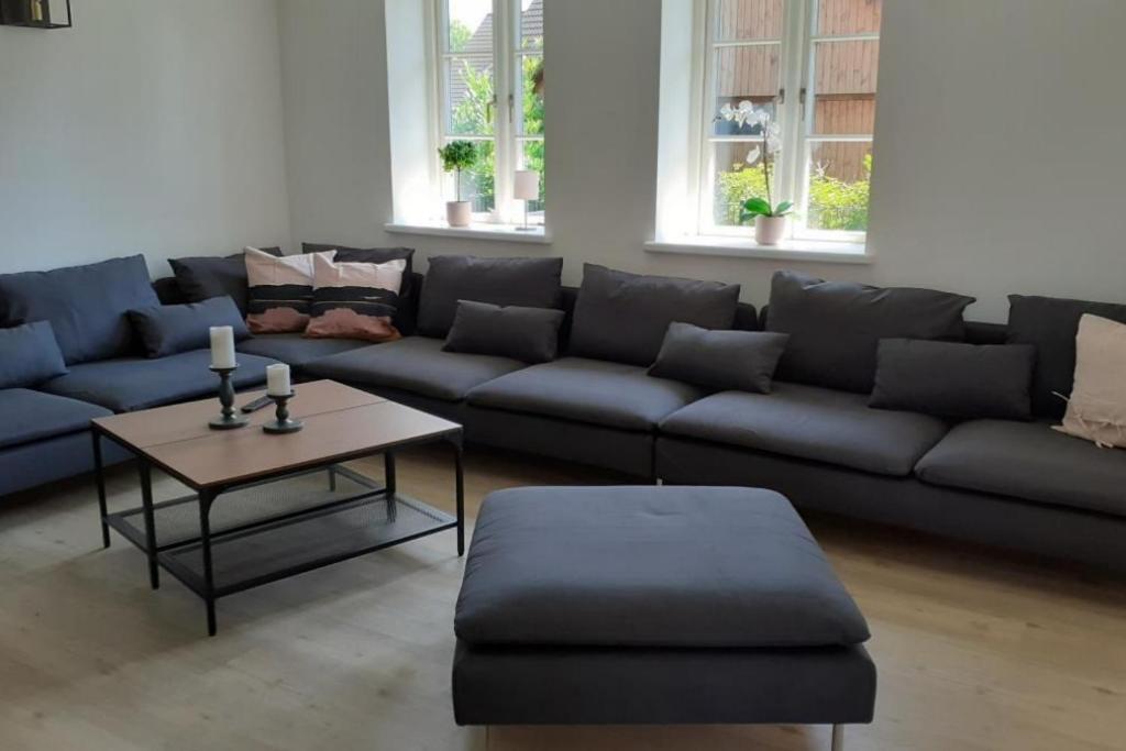 Villa Fh Magnolia Fuer 12 Pers. Mit Terrasse + Dachterasse à Born Extérieur photo